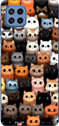 Cat Crowd