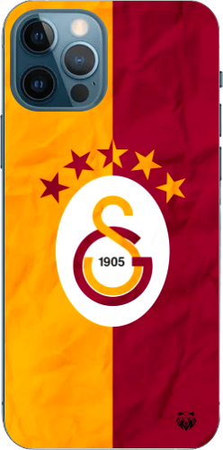 Galatasaray 5 Yıldızlı Şeffaf Telefon Kılıfı