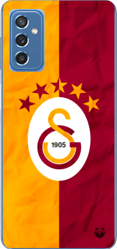 Galatasaray 5 Yıldızlı Şeffaf Telefon Kılıfı