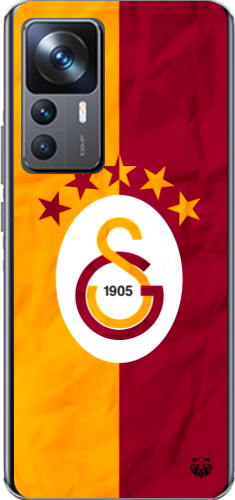 Galatasaray 5 Yıldızlı Şeffaf Telefon Kılıfı