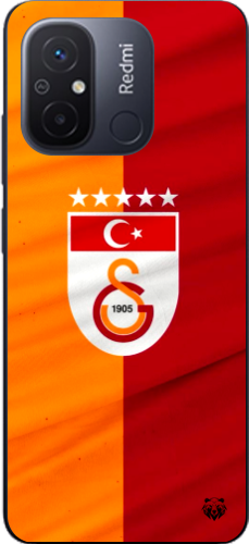 Galatasaray 5 Yıldızlı Türk Bayraklı Şeffaf Telefon Kılıfı