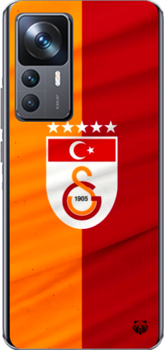 Galatasaray 5 Yıldızlı Türk Bayraklı Şeffaf Telefon Kılıfı