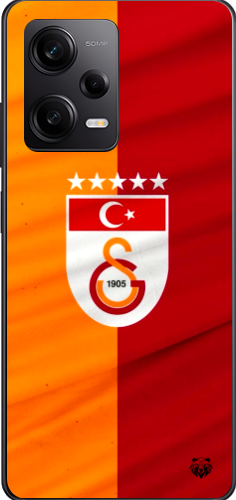 Galatasaray 5 Yıldızlı Türk Bayraklı Şeffaf Telefon Kılıfı