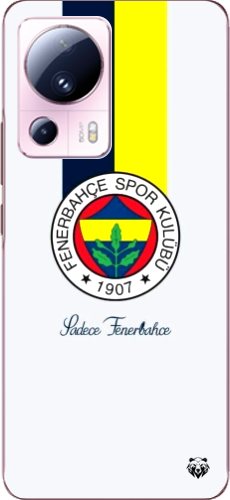 Tek Aşk Fener